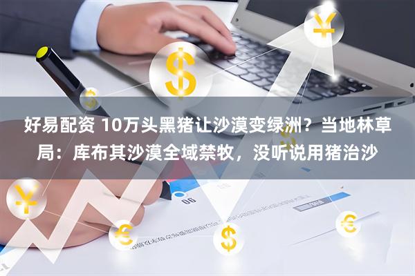 好易配资 10万头黑猪让沙漠变绿洲？当地林草局：库布其沙漠全域禁牧，没听说用猪治沙